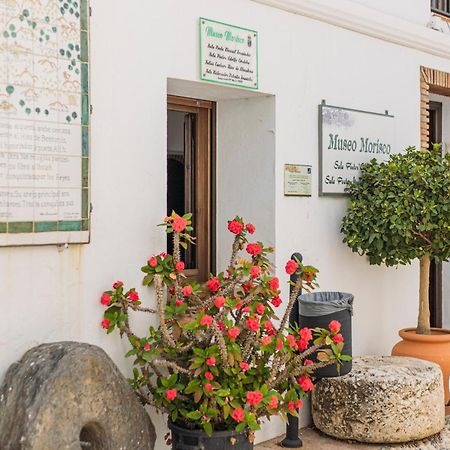 Casa De La Montana Apartments Sayalonga Dış mekan fotoğraf